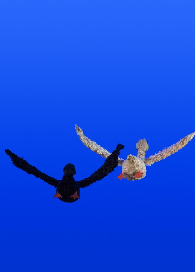 Дикий