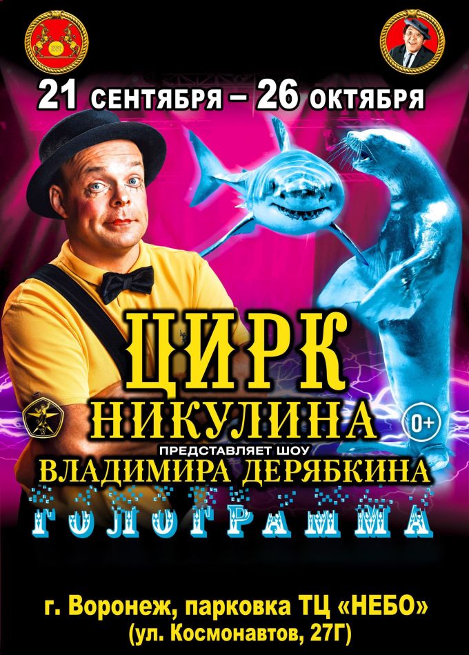 Цирк Никулина. Шоу Владимира Дерябкина «Голограмма»
