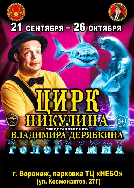 Цирк Никулина. Шоу Владимира Дерябкина «Голограмма»