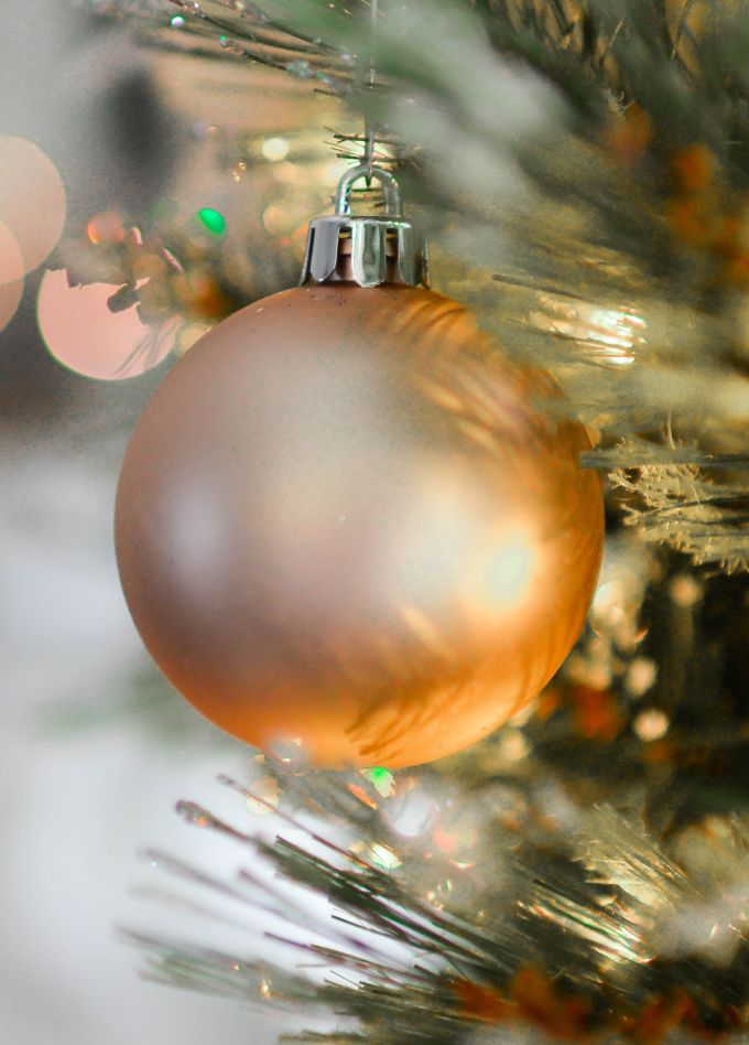 Йети, камера, мотор!