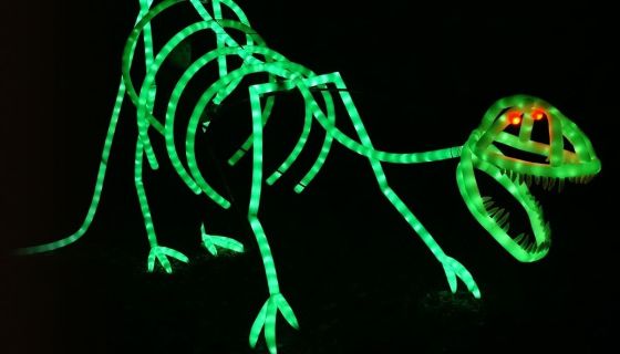 Представление световых кукол. Театр Николая Зыкова (Москва), Россошь