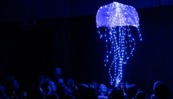 Представление световых кукол. Театр Николая Зыкова (Москва), Павловск