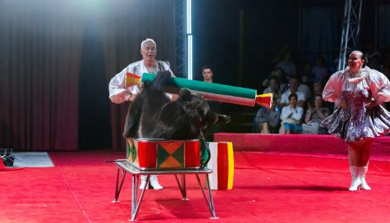 Цирк-шапито «Виват»