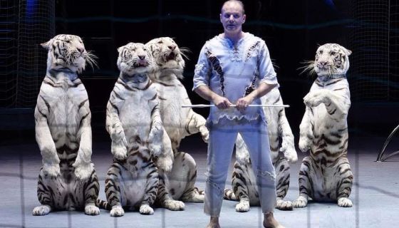 Цирк-шапито «Виват»