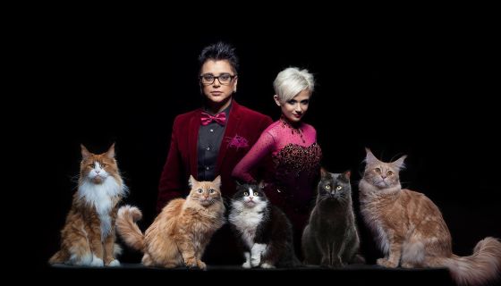 Цирк-шапито «Виват»