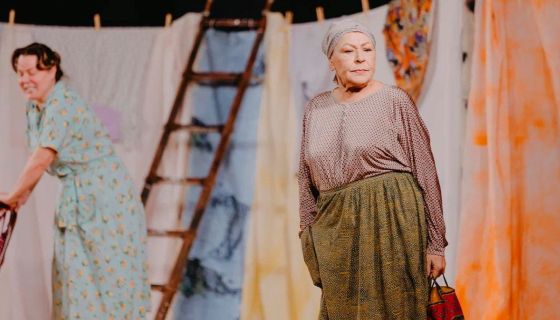 Спектакль «Любовь и голуби»