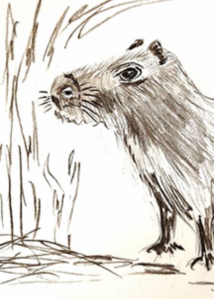 Китайская техника "Капибара". Музейное занятие