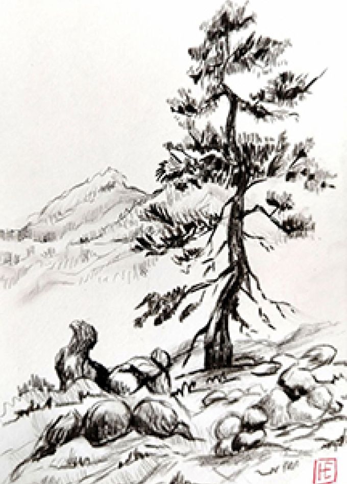 Китайская живопись "Танцующая Сосна. Техника Гохуа". Музейное занятие