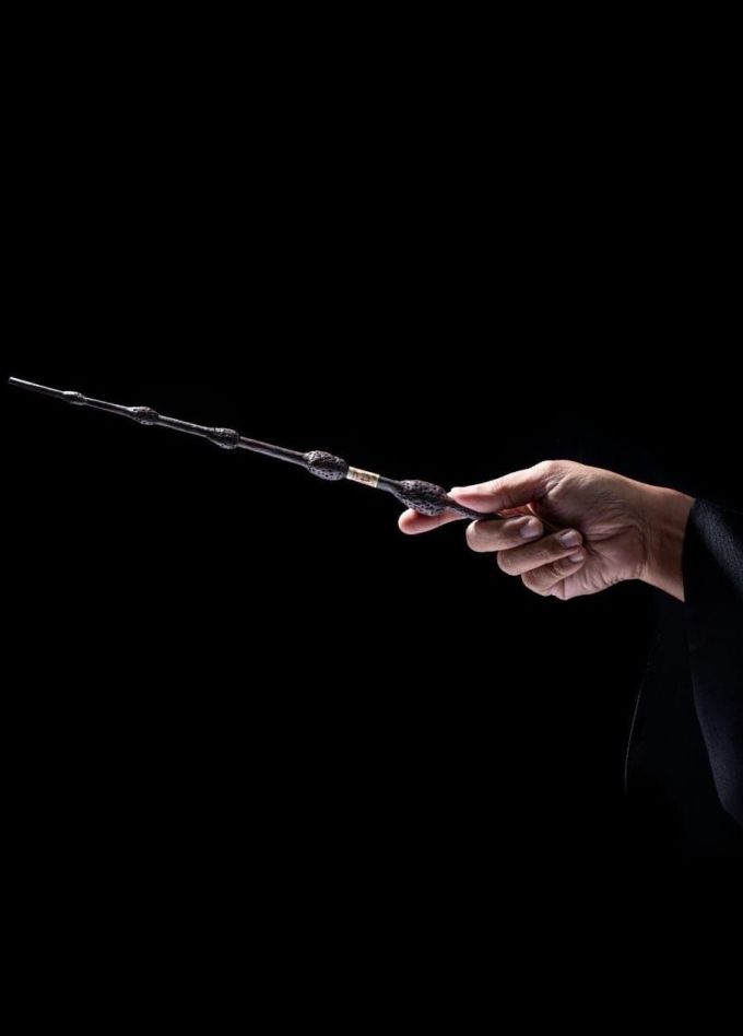 Оркестр Sonorus. Гарри Поттер