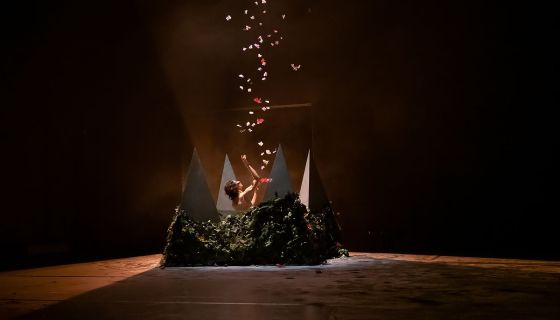 Пластический спектакль «Лёгкость бытия»