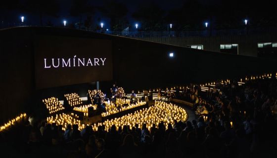 Luminary. Симфония в парке